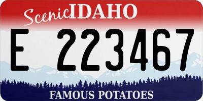 ID license plate E223467