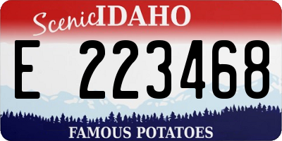 ID license plate E223468