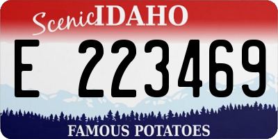 ID license plate E223469