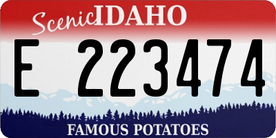 ID license plate E223474
