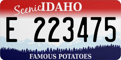 ID license plate E223475