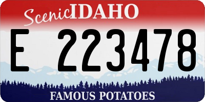 ID license plate E223478
