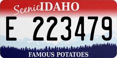 ID license plate E223479