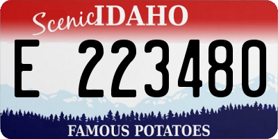 ID license plate E223480