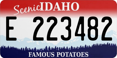 ID license plate E223482