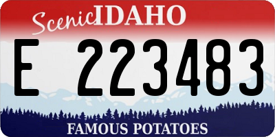 ID license plate E223483
