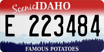 ID license plate E223484