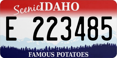 ID license plate E223485