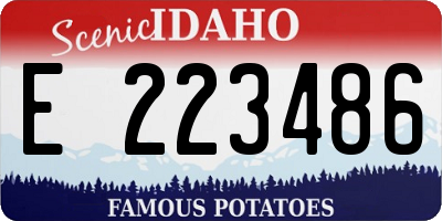 ID license plate E223486