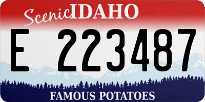 ID license plate E223487