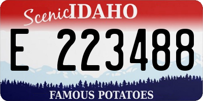 ID license plate E223488