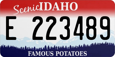 ID license plate E223489