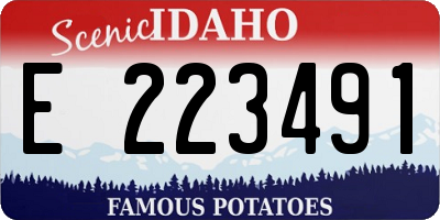 ID license plate E223491