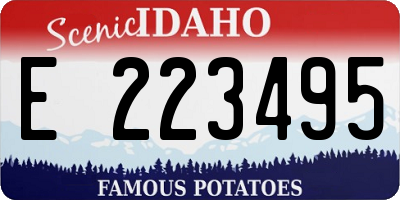 ID license plate E223495