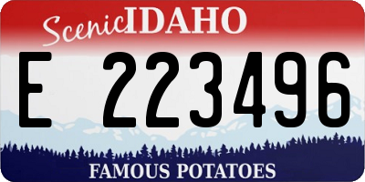 ID license plate E223496