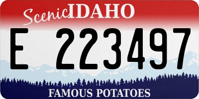 ID license plate E223497