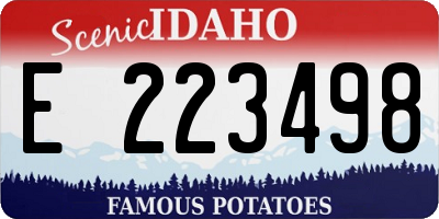 ID license plate E223498