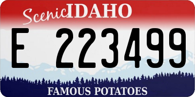 ID license plate E223499