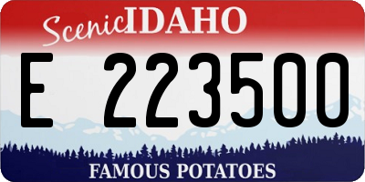 ID license plate E223500