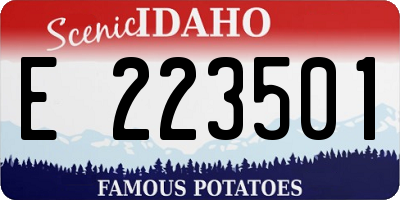 ID license plate E223501