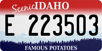 ID license plate E223503
