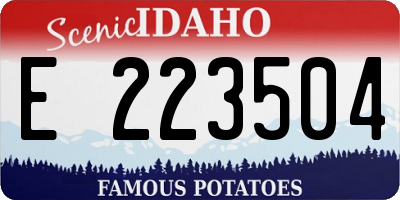 ID license plate E223504