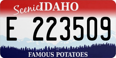 ID license plate E223509