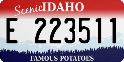 ID license plate E223511