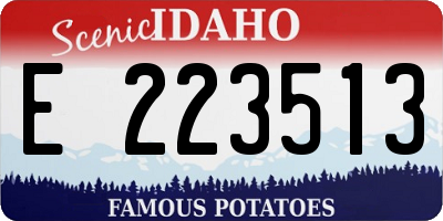 ID license plate E223513