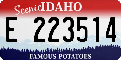 ID license plate E223514