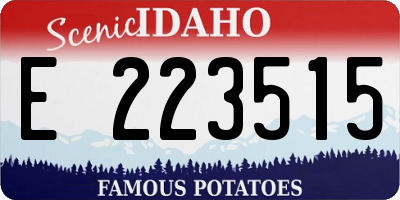 ID license plate E223515