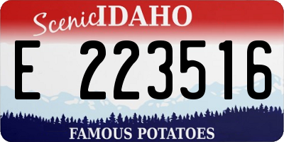 ID license plate E223516