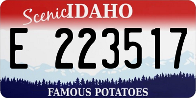 ID license plate E223517