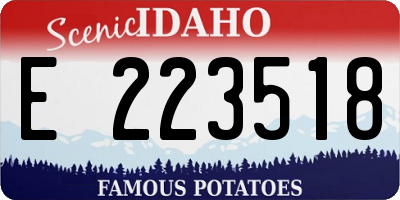 ID license plate E223518