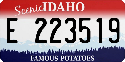 ID license plate E223519
