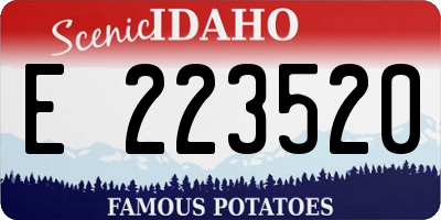 ID license plate E223520
