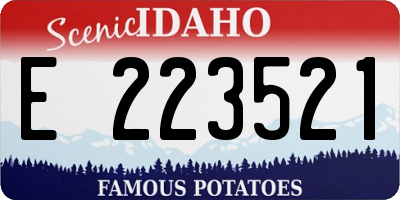 ID license plate E223521