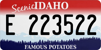 ID license plate E223522