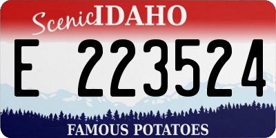 ID license plate E223524