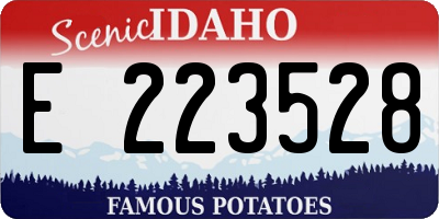 ID license plate E223528