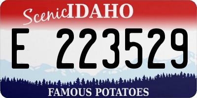 ID license plate E223529