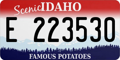 ID license plate E223530