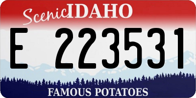 ID license plate E223531
