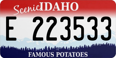 ID license plate E223533