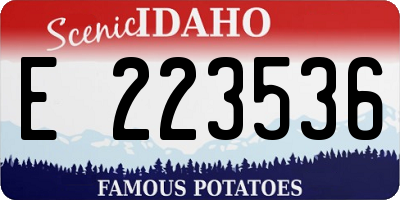 ID license plate E223536