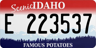 ID license plate E223537