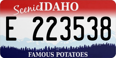 ID license plate E223538