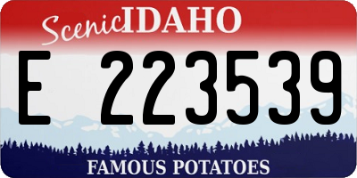 ID license plate E223539