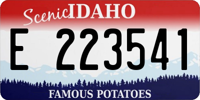 ID license plate E223541