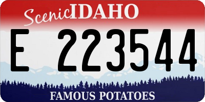 ID license plate E223544